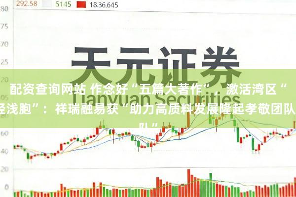 配资查询网站 作念好“五篇大著作”，激活湾区“轻浅胞”：祥瑞融易获“助力高质料发展隆起孝敬团队”