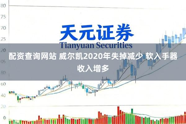 配资查询网站 威尔凯2020年失掉减少 软入手器收入增多