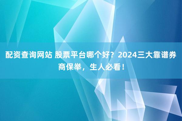 配资查询网站 股票平台哪个好？2024三大靠谱券商保举，生人必看！