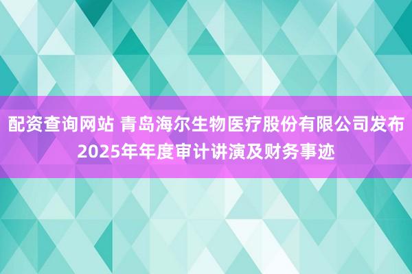 配资查询网站 青岛海尔生物医疗股份有限公司发布2025年年度审计讲演及财务事迹